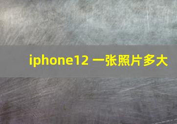 iphone12 一张照片多大